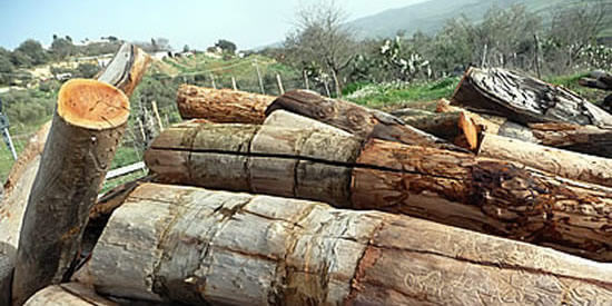 [Foto notizia in primo piano]