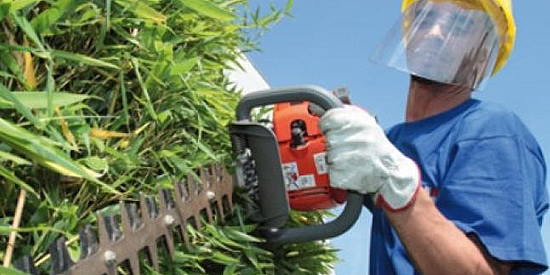 [Foto notizia in primo piano]