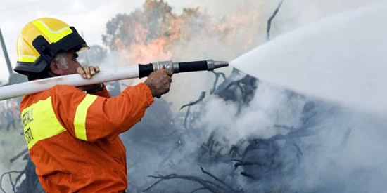 [Foto notizia in primo piano]