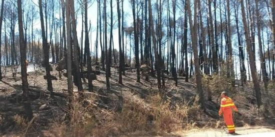 [Foto notizia in primo piano]