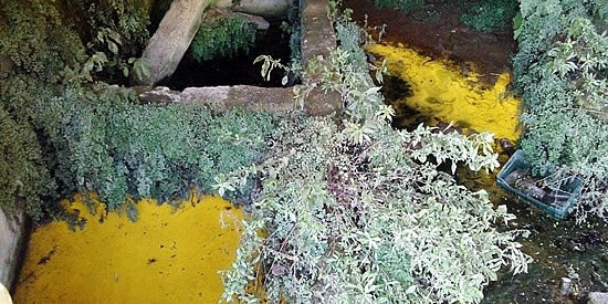 [Foto notizia in primo piano]