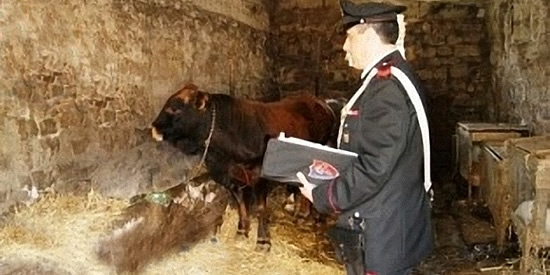 [Foto notizia in primo piano]