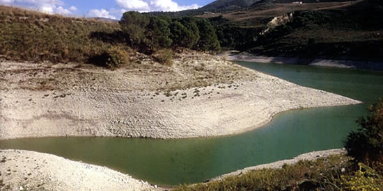 [Foto notizia in primo piano]