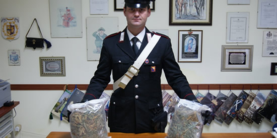 [Foto notizia in primo piano]