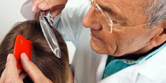 [Foto notizia in primo piano]