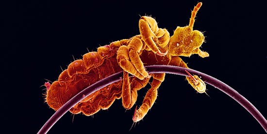 [Foto notizia in primo piano]