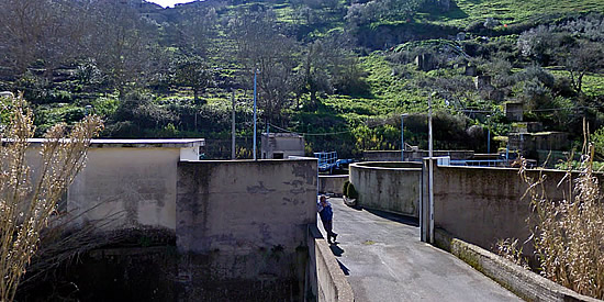 [Foto notizia in primo piano]