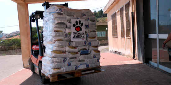 [Foto notizia in primo piano]