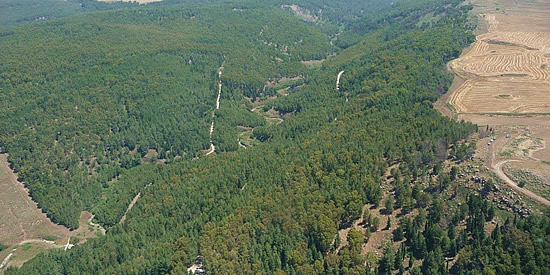 [Foto notizia in primo piano]