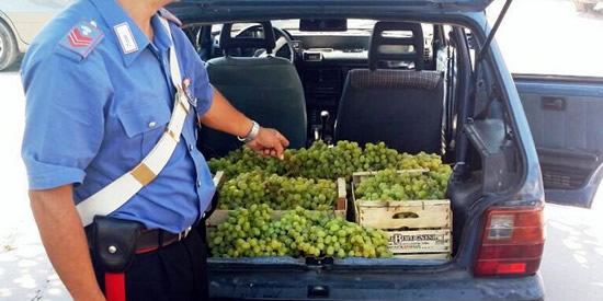 [Foto notizia in primo piano]