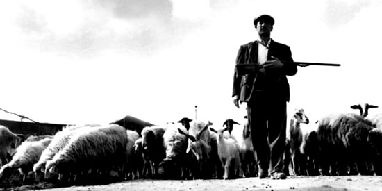 [Foto notizia in primo piano]