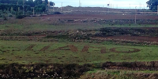 [Foto notizia in primo piano]