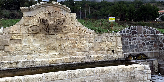 [Foto notizia in primo piano]