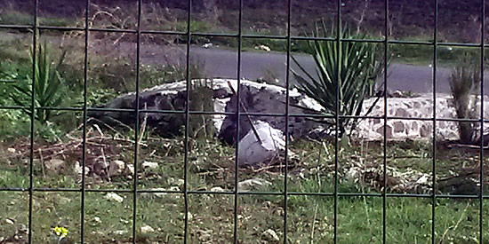 [Foto notizia in primo piano]