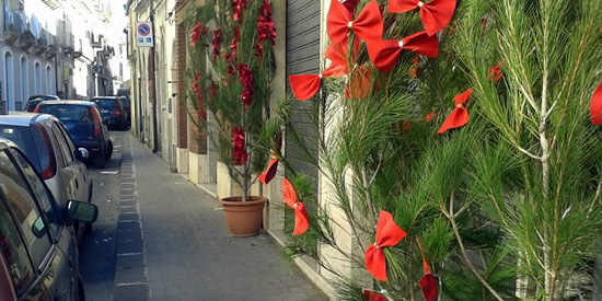 [Foto notizia in primo piano]