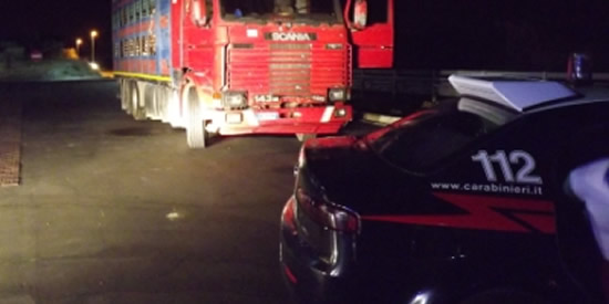 [Foto notizia in primo piano]