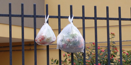 [Foto notizia in primo piano]