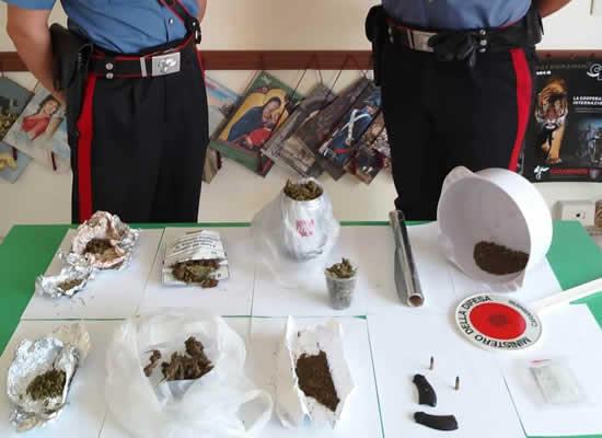 DETENZIONE ILLEGALE | La marijuana e le munizioni sequestrate dai carabinieri. Foto n. 2