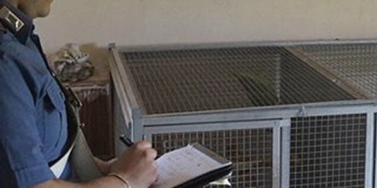 [Foto notizia in primo piano]