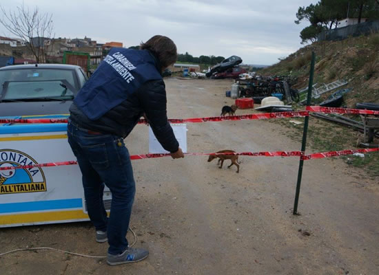 L'AREA SEQUESTRATA | Il deposito abusivo di rottami. Foto n. 3