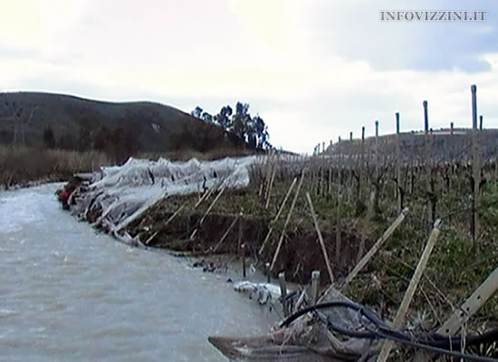 DANNI AI VIGNETI | L'acqua che devastò le campagne a valle della diga Ragoleto. Foto n. 2